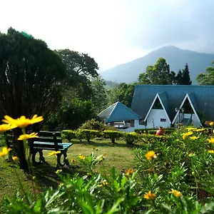 Camelot Resort Munnar